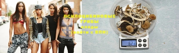 крисы Тобольск