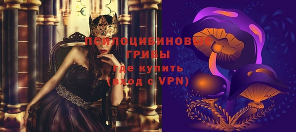 крисы Тобольск